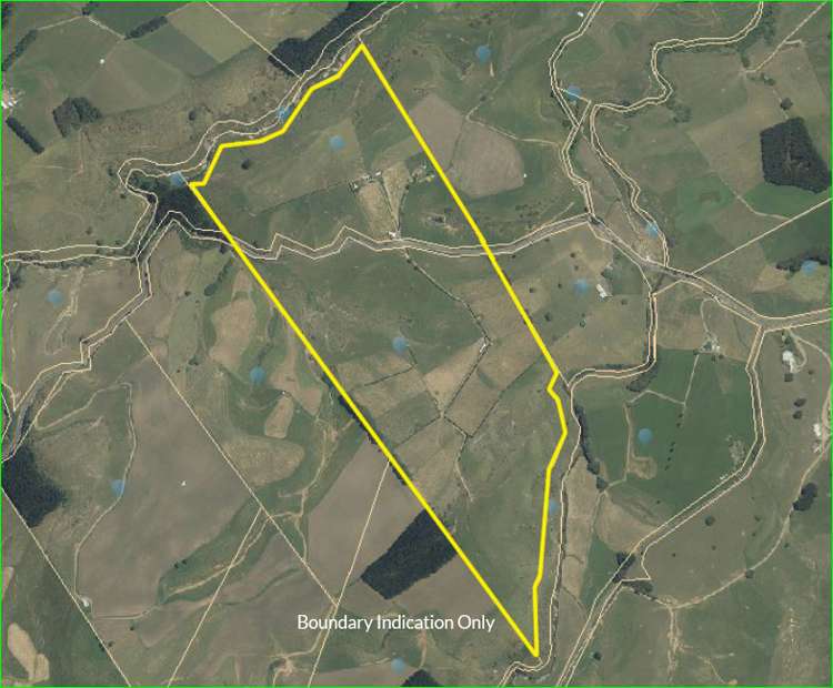 1564 State Highway 31 Kawhia Road Otorohanga_36