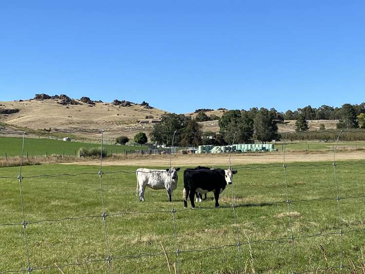 272 Galloway Road Galloway_13