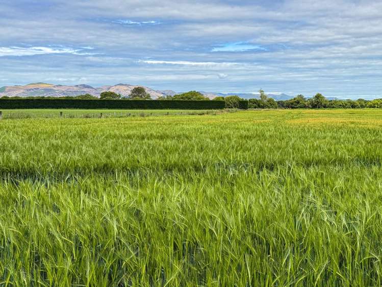 573 Otama Flat Road Otama_12