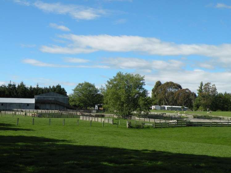 902 Moa Flat Road Ettrick_11