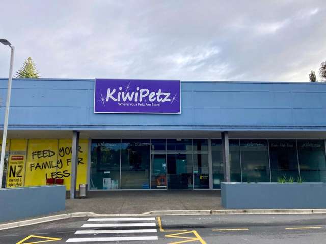 T30B/223-233 Fraser Street Tauranga South_4
