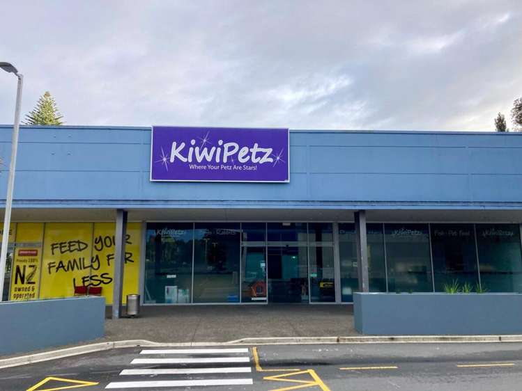 T30B/223-233 Fraser Street Tauranga South_4