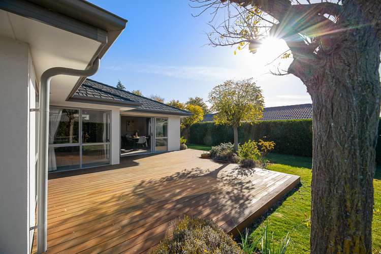 155 Taylor Pass Road Witherlea_19