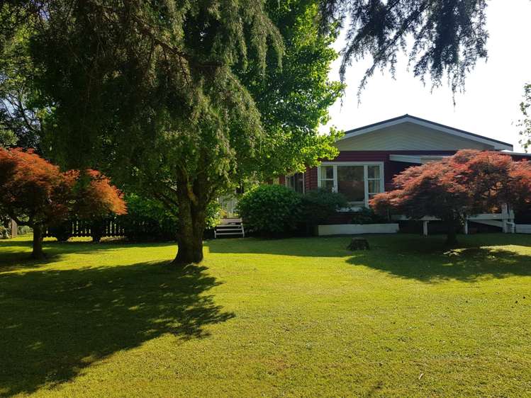 2b Wellington Street Waihi_16