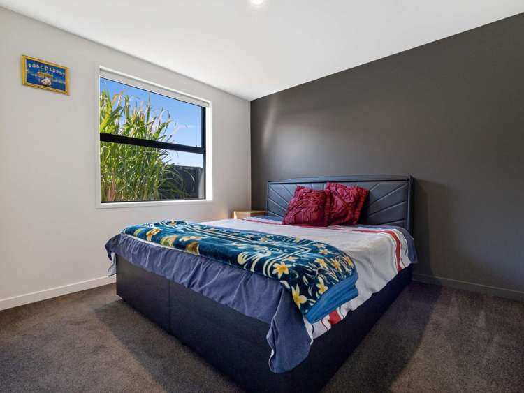 37 Lulu Avenue Chartwell_11