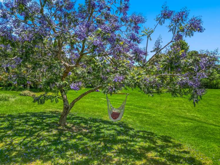 108 Waipapa Road Kerikeri_31