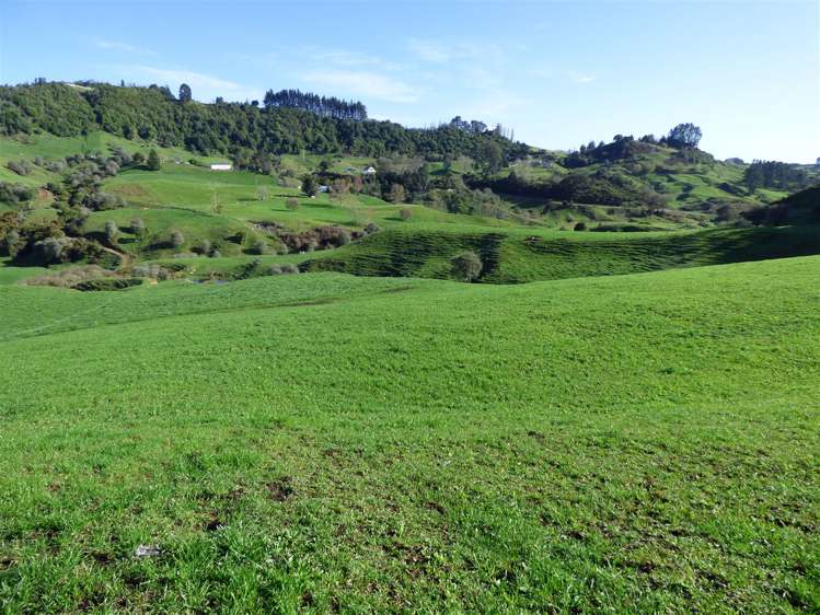 523 Honikiwi Road Otorohanga_5