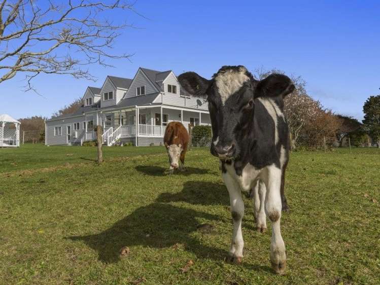 200 Williams Road North Pyes Pa_22