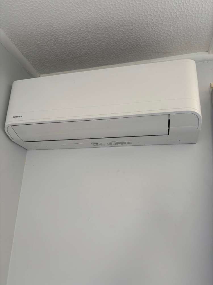 4 Colvin Street 10113_5