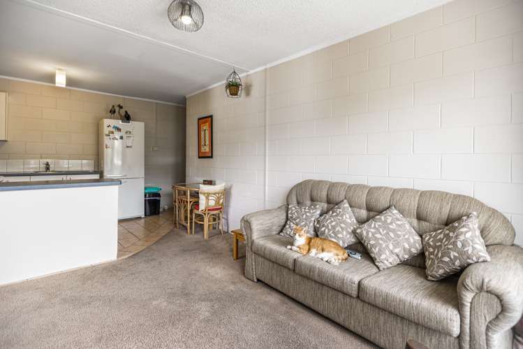 12/3 Sherbourne Road Mount Eden_5