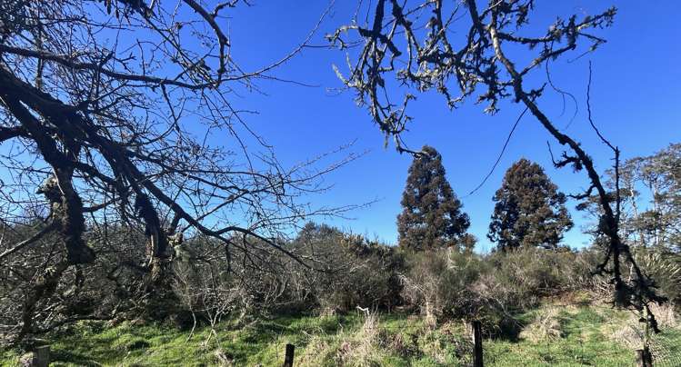 108 Main Road Blackball_18