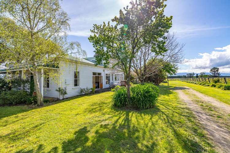 35 Cambridge Road Martinborough_9