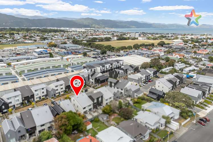 15 Te Ara O Te Amo Hohipene Petone_19