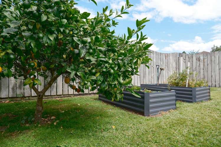 20A Shirley Street Mangakakahi_21