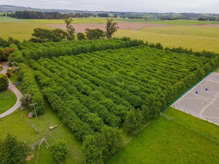 120 Summerleaze Road Otipua_38