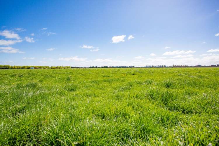 387 Fords Road Willowby_15