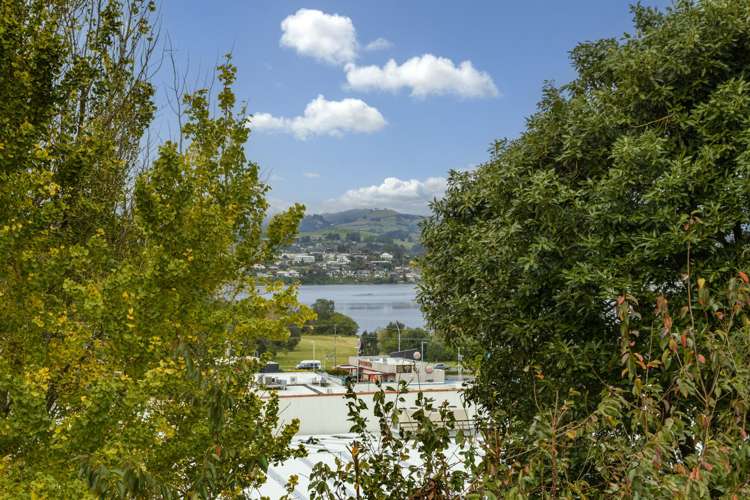 28 Botanical Road Tauranga South_2