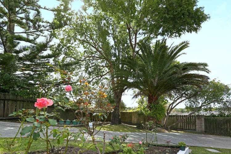 29 Eyre Street Henderson_22