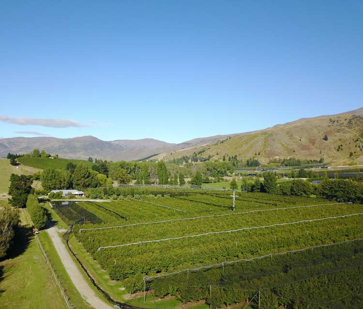 109 Ripponvale Road Cromwell_35