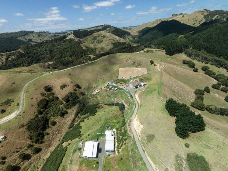 3002a Kaipara Coast Highway Glorit_7