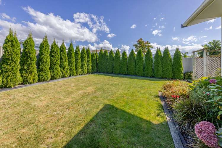 2/175 Guppy Road Taradale_18