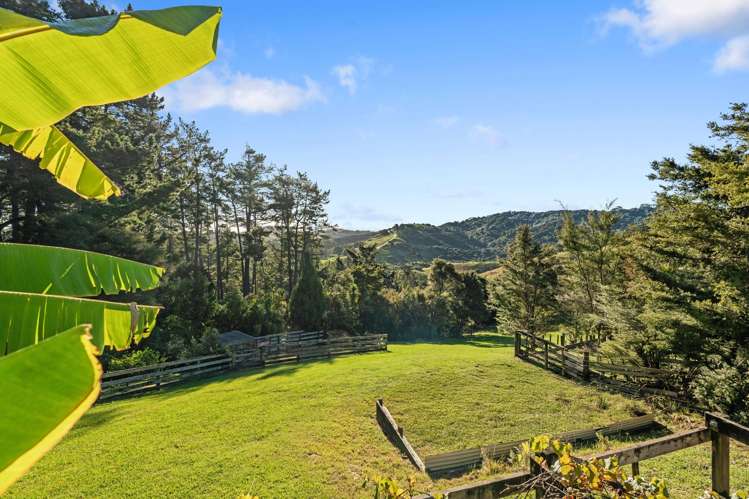 700 Hibiscus Coast Highway Hatfields Beach_23