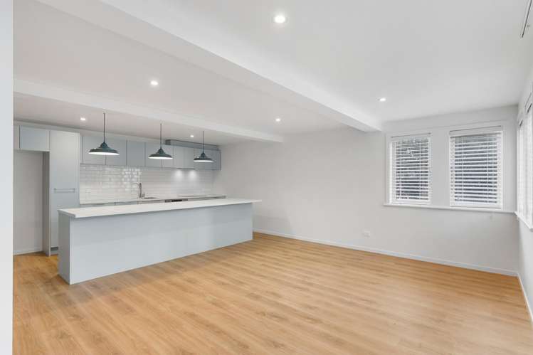 38 Gladstone Road Parnell_14