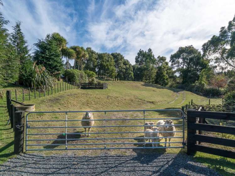 277 Mapara Road Acacia Bay_13