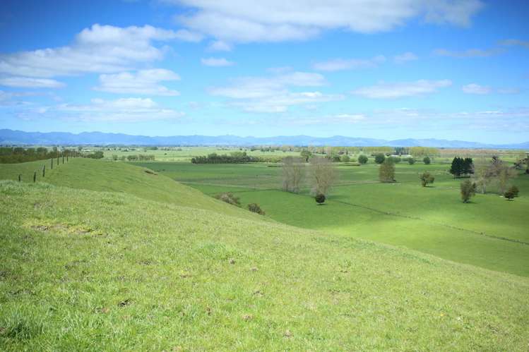 399 Mahuta Road Mangatarata_9