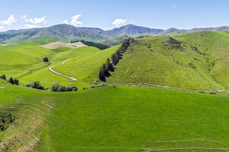 Awarima Road Fairlie_10