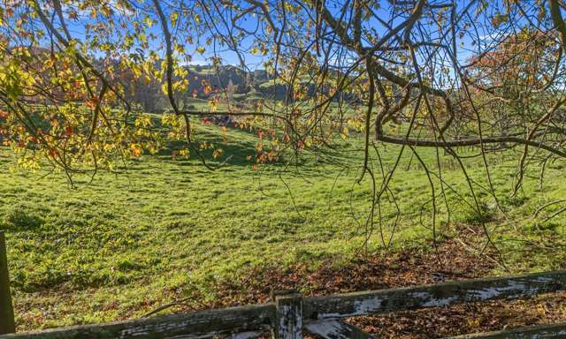 2 Kuku Street Piopio_3