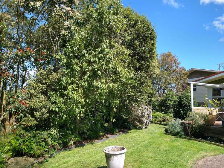 583 Kopuku Road Maramarua Forest_29