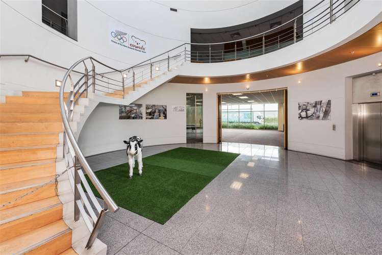 18 Ron Driver Place East Tamaki_6