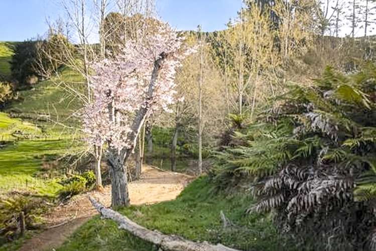 822 Motukawa Road Inglewood_17