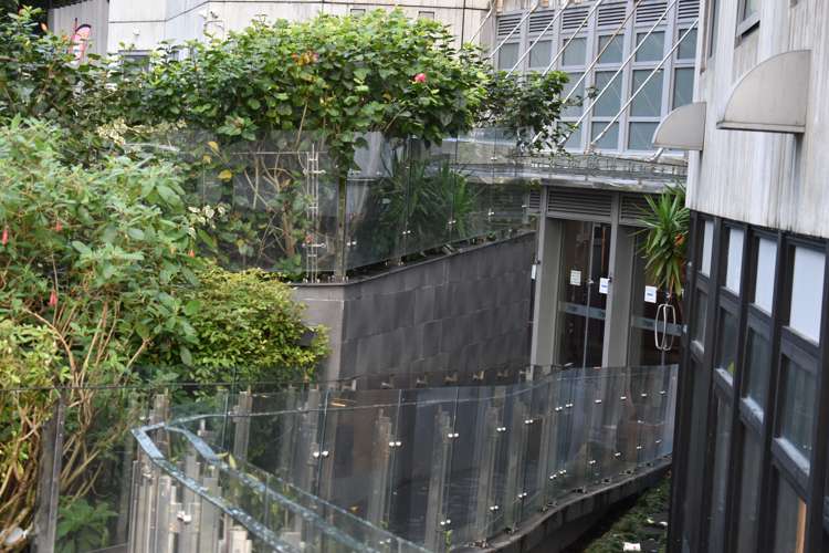 1520/21 Whitaker Place Grafton_11