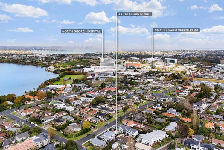 3a Trafalgar Road Milford_17