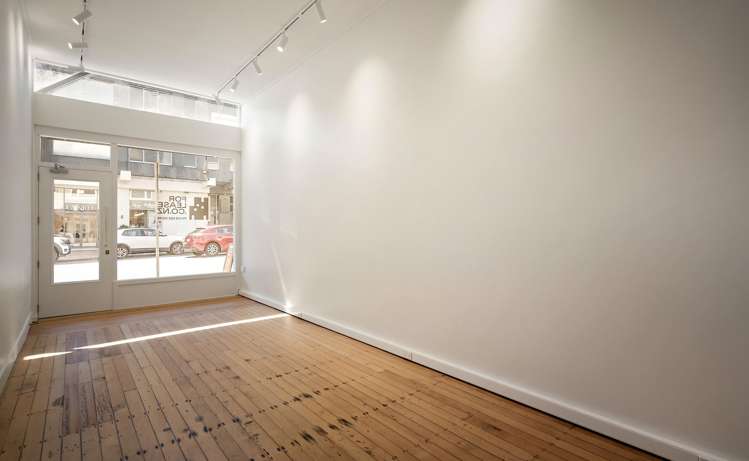 113 Parnell Road Parnell_3