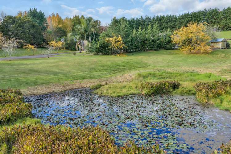 43 Roydon Drive Ruatangata West_9