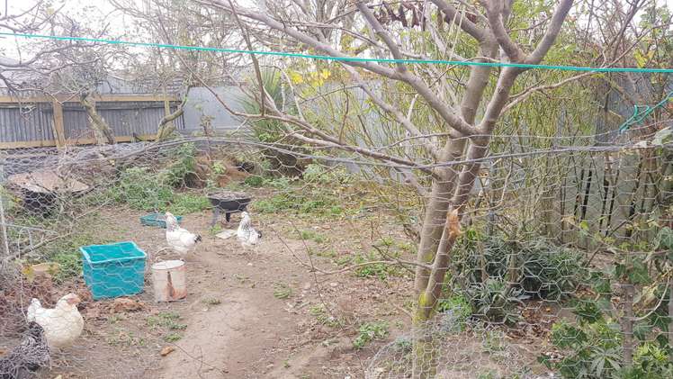 297 Cameron Street Ashburton_16