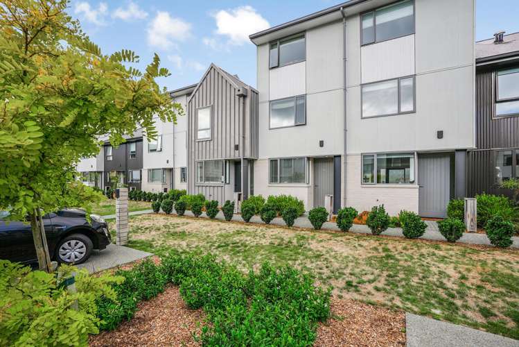 14 Te Ara O Te Amo Hohipene Petone_7