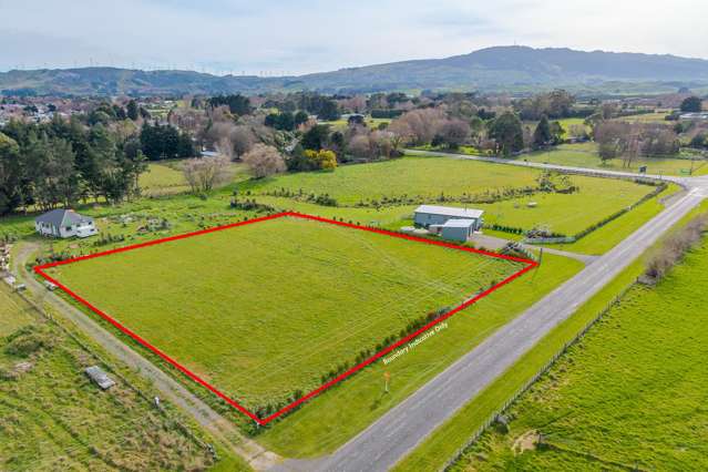 16 Nelson Street Woodville_3