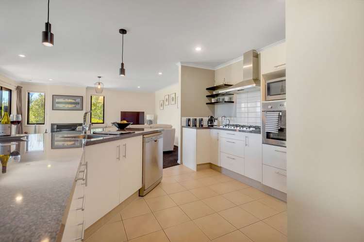 118 Patons Rock Road Kahurangi National Park_6