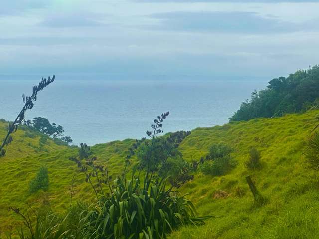 7 Askew Avenue Rakino Island_4