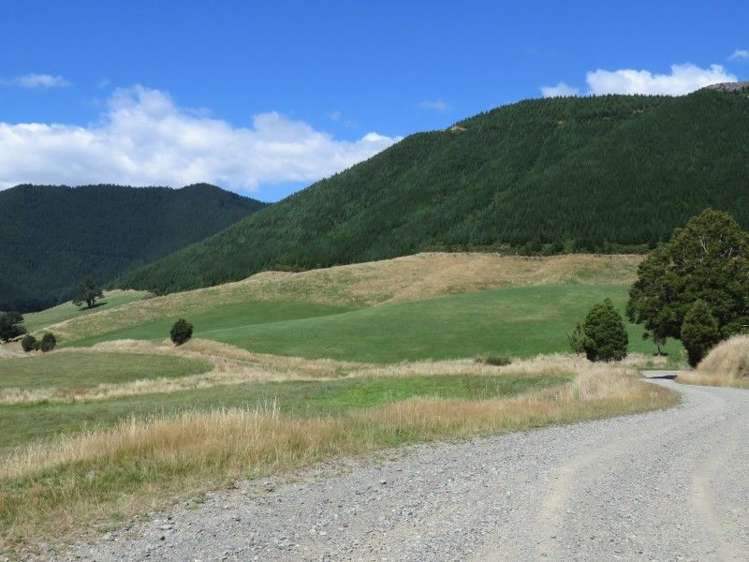 472 Maungatapu Road Rai Valley_15