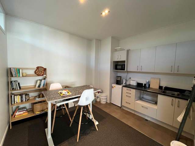 Unit C/41 Crummer Road Grey Lynn_3