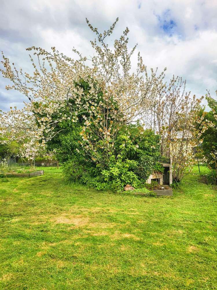 103 Birchwood Road Ohai_3