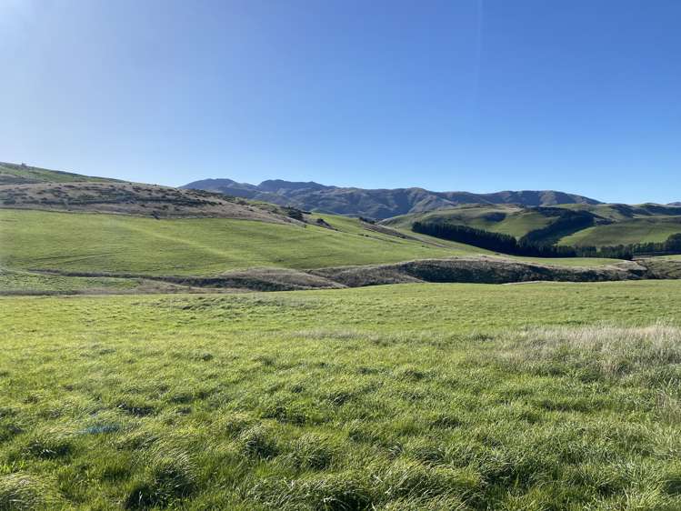 189 Pringles Road Green Valley_0