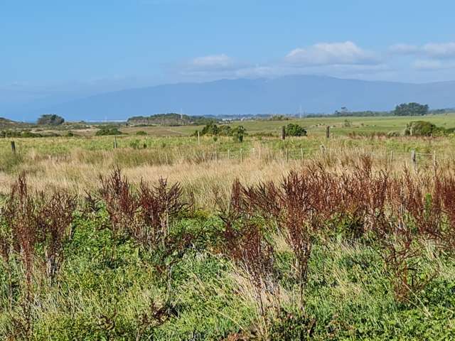 Lot 2 1088 Wilsons Lead Road Cape Foulwind_3