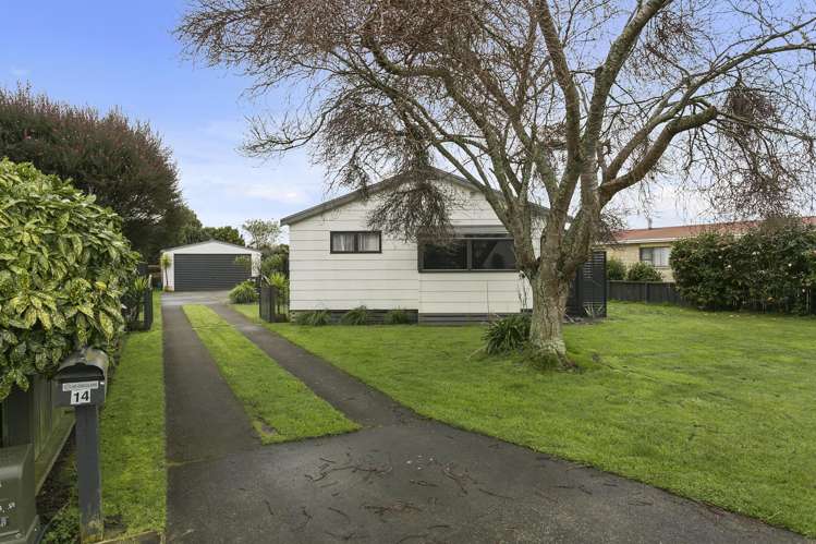 14 Manuka Street Matamata_0