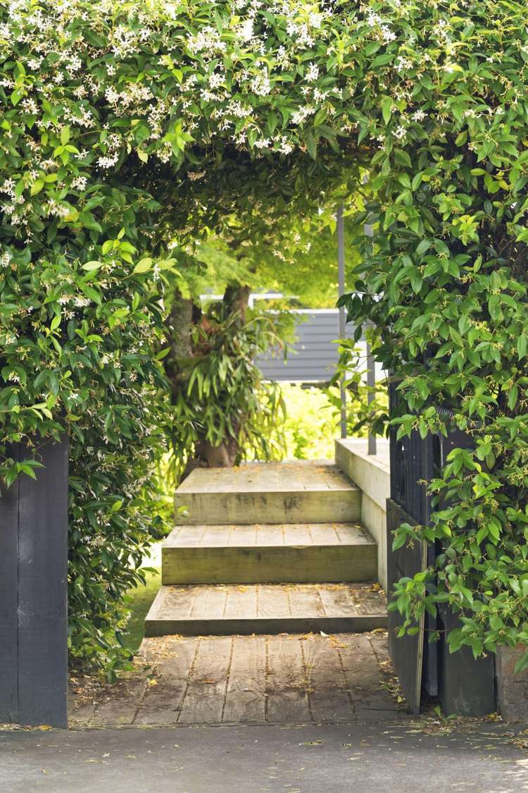 27 Takapu Street Matua_7